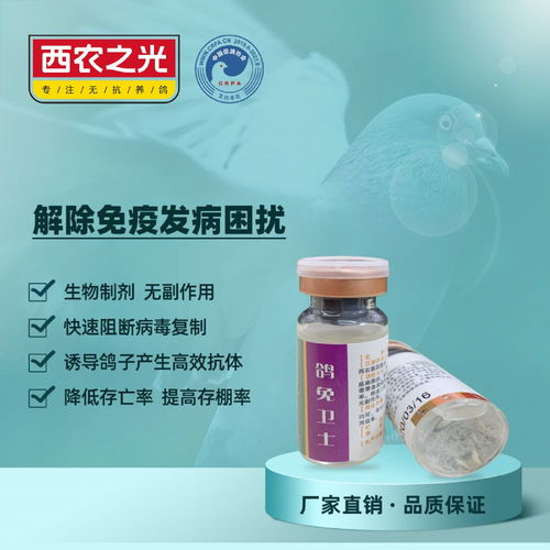 西农之光 鸽免卫士——赛鸽疫苗伴侣的生物制剂革命
